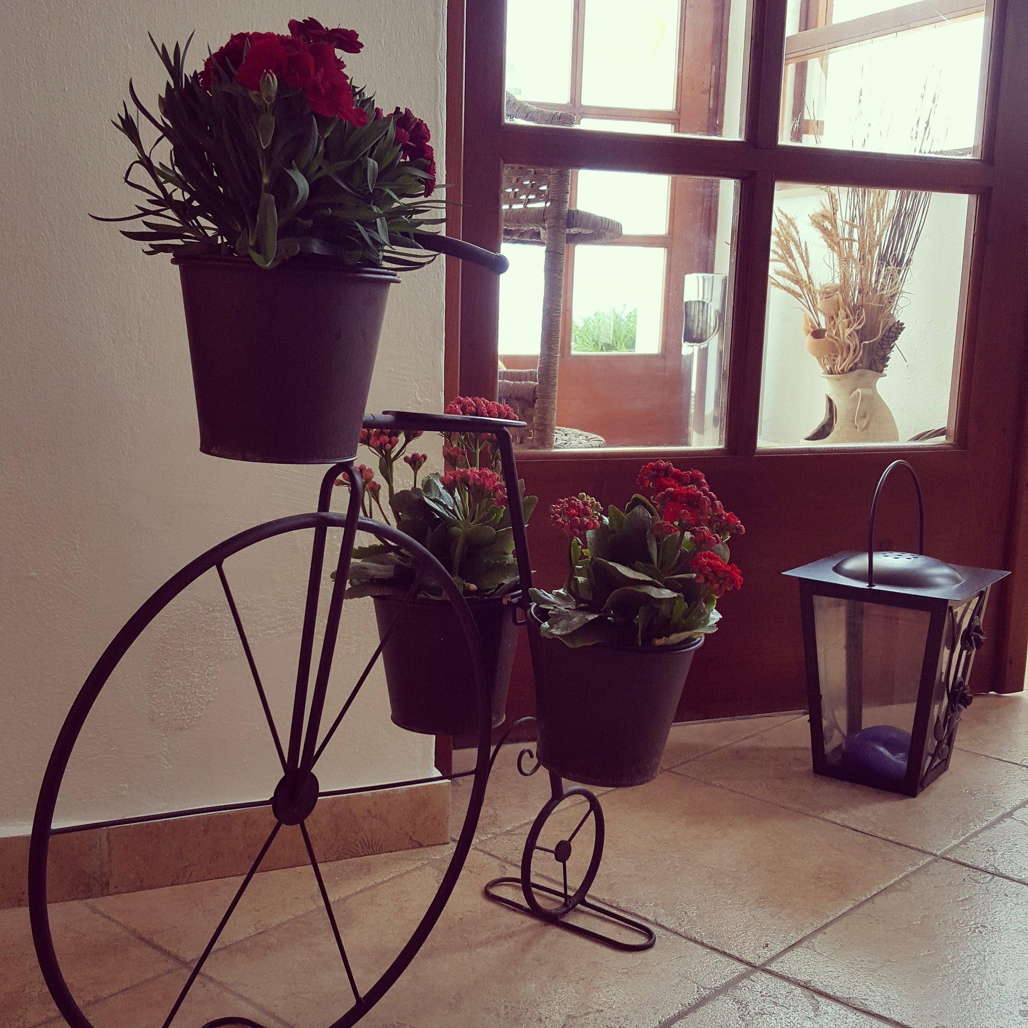 Amazones Village 4* Hersonissos (Crete)