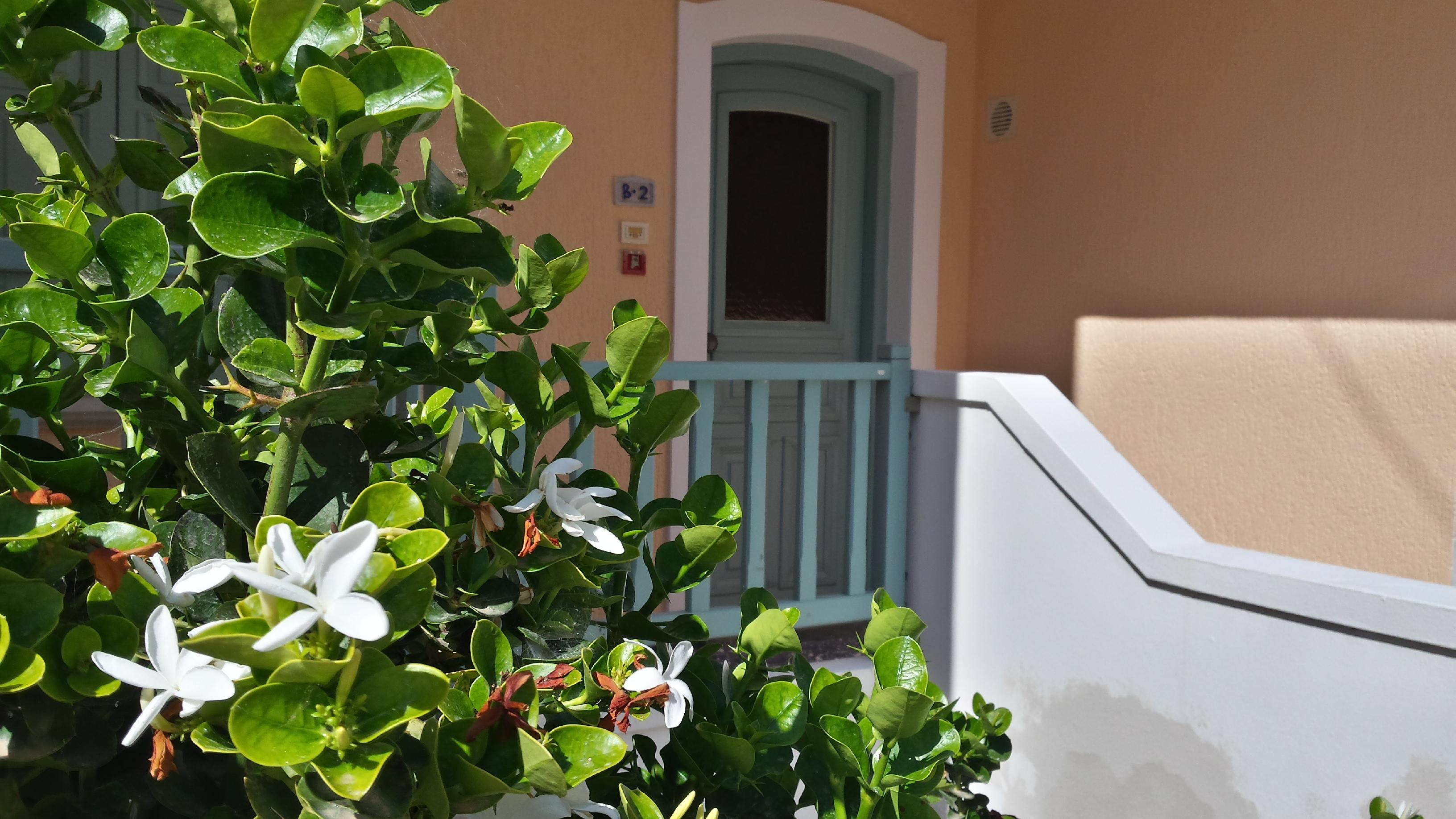 Amazones Village 4* Chersonissos